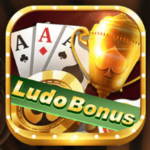 Ludo Bonus